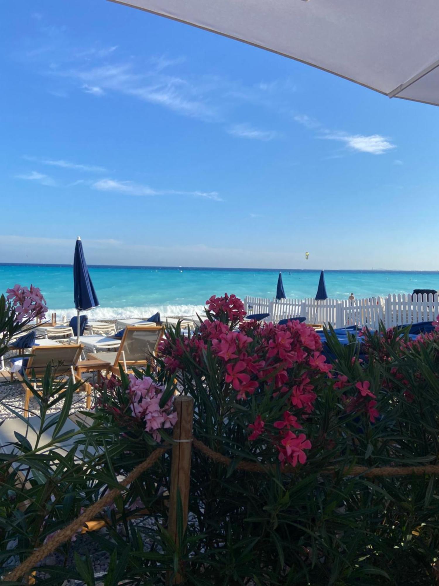 Joli Et Lumineux Appartement Proche Mer Et Centre Ville Nice Apartment *