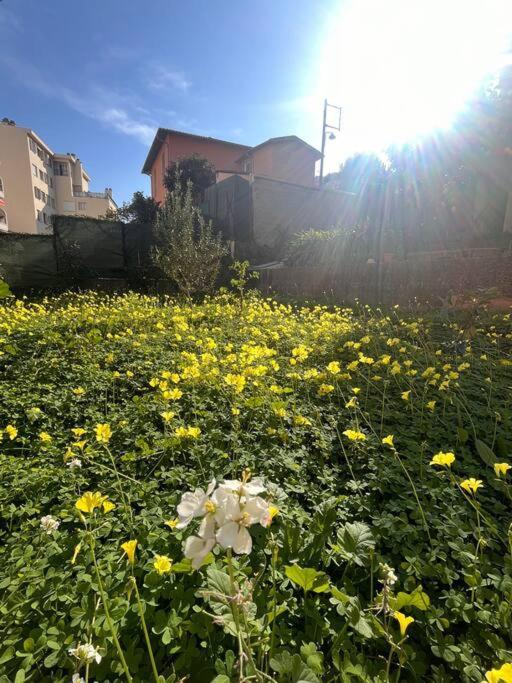 Jardin Secret A - 2 Pieces