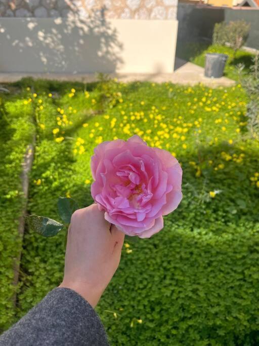 Jardin Secret A - 2 Pieces Nice