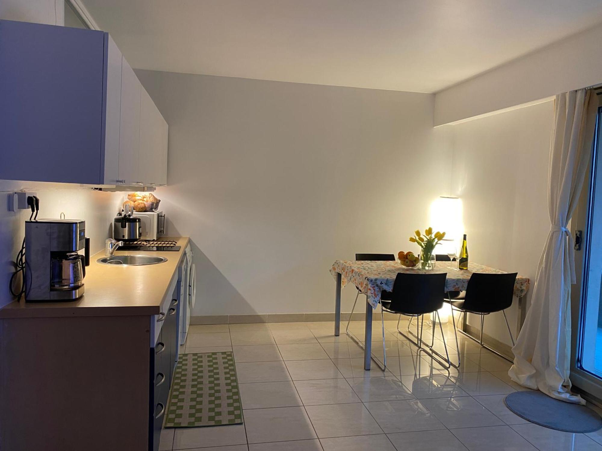 Apartment Le Grand Palais De La Mediterranee Access - Choice In Nice