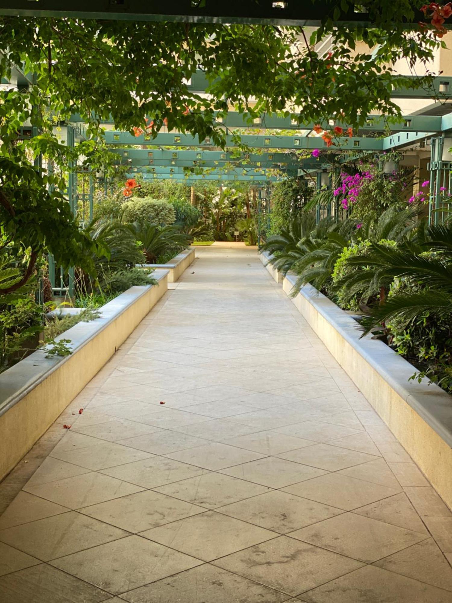 Apartment Le Grand Palais De La Mediterranee Access - Choice In *