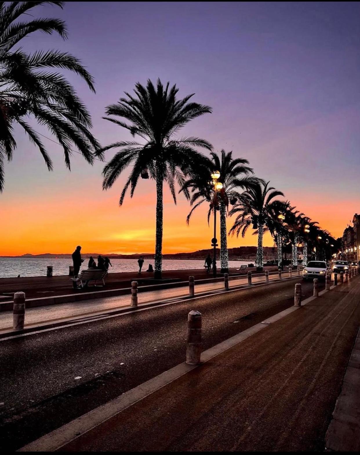 Le Grand Palais De La Mediterranee Access - Choice In *