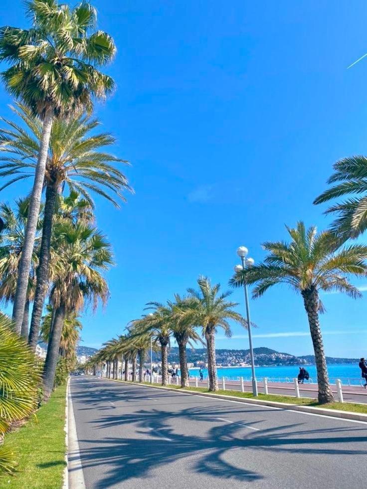 Appartement Tres Cosy, En Plein Centre-ville, Proximite Plage, Centre Nice