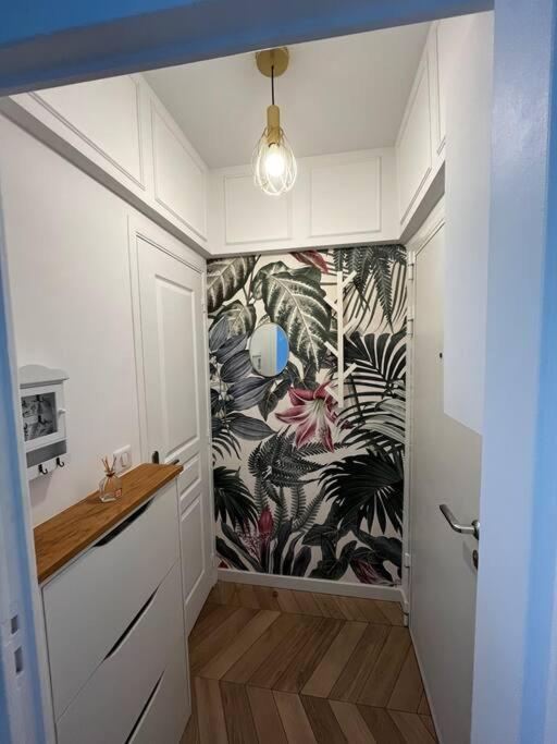 Charmant Et Petit Lumineux Studio Apartment Nice