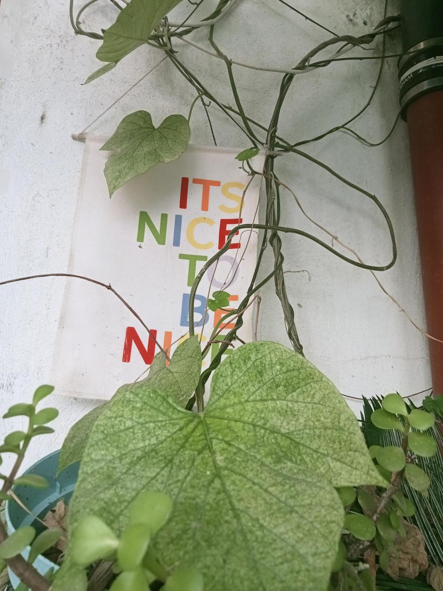 Un Jardin En Apartment Nice