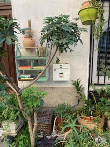 Un Jardin En Apartment *
