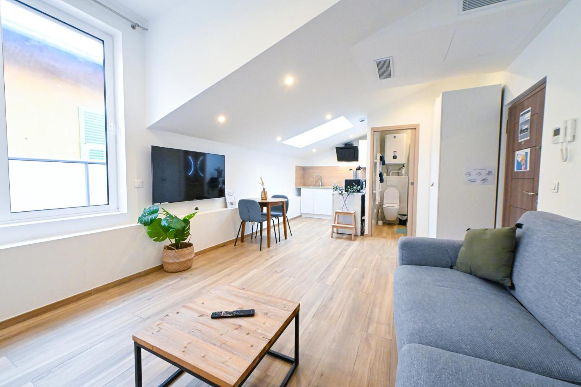 Beau Cozy Centre Et Plages N13 * Nice