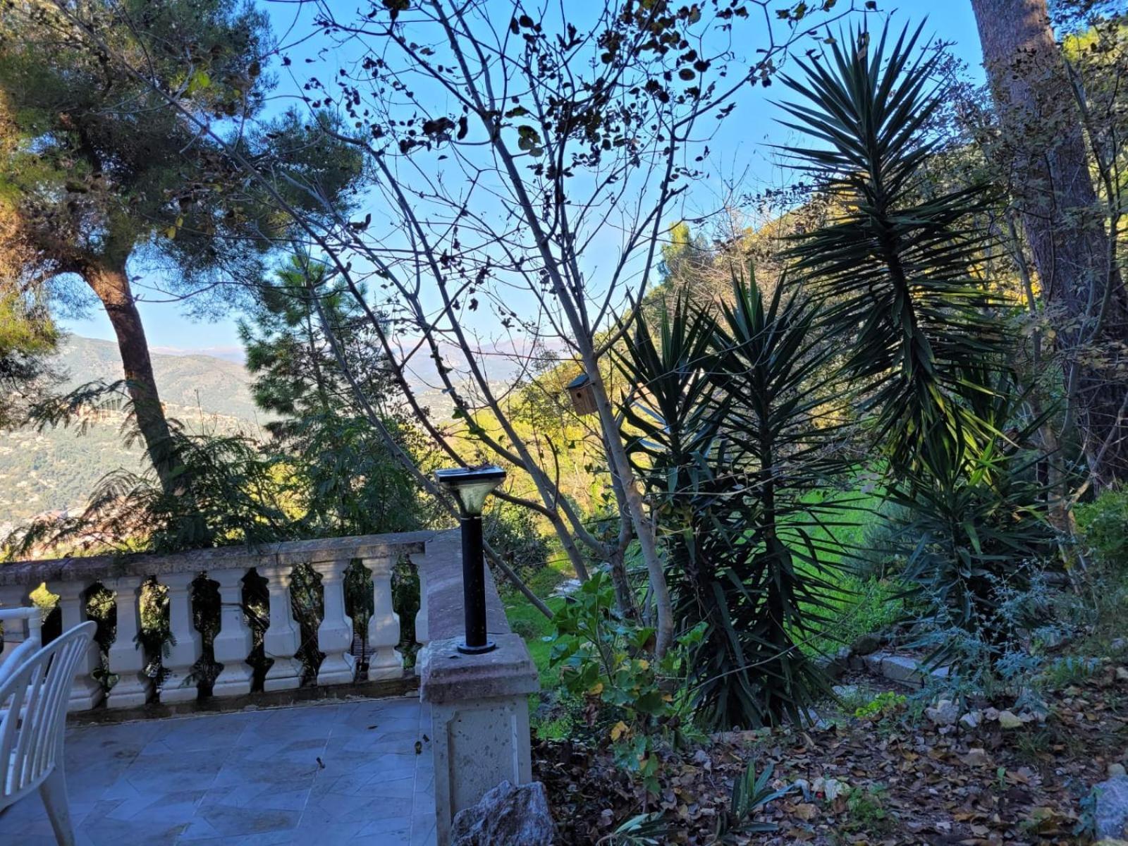 Dans Don Quijote Apartment Nice