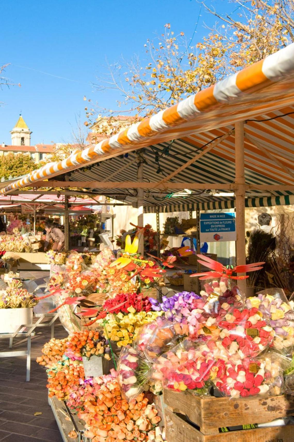 Superbe Luxueux Spacieux 50 M2 Port