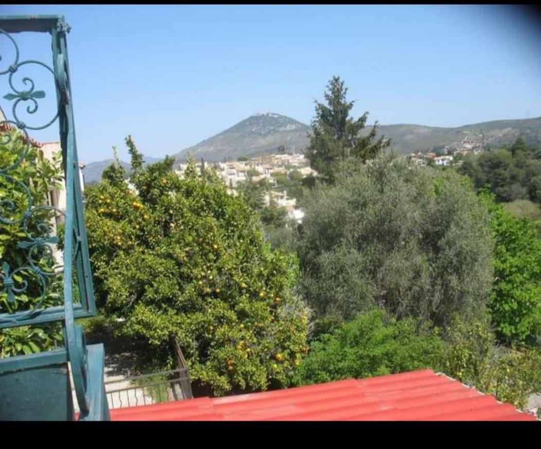 Au Calme Sur Les Collines *