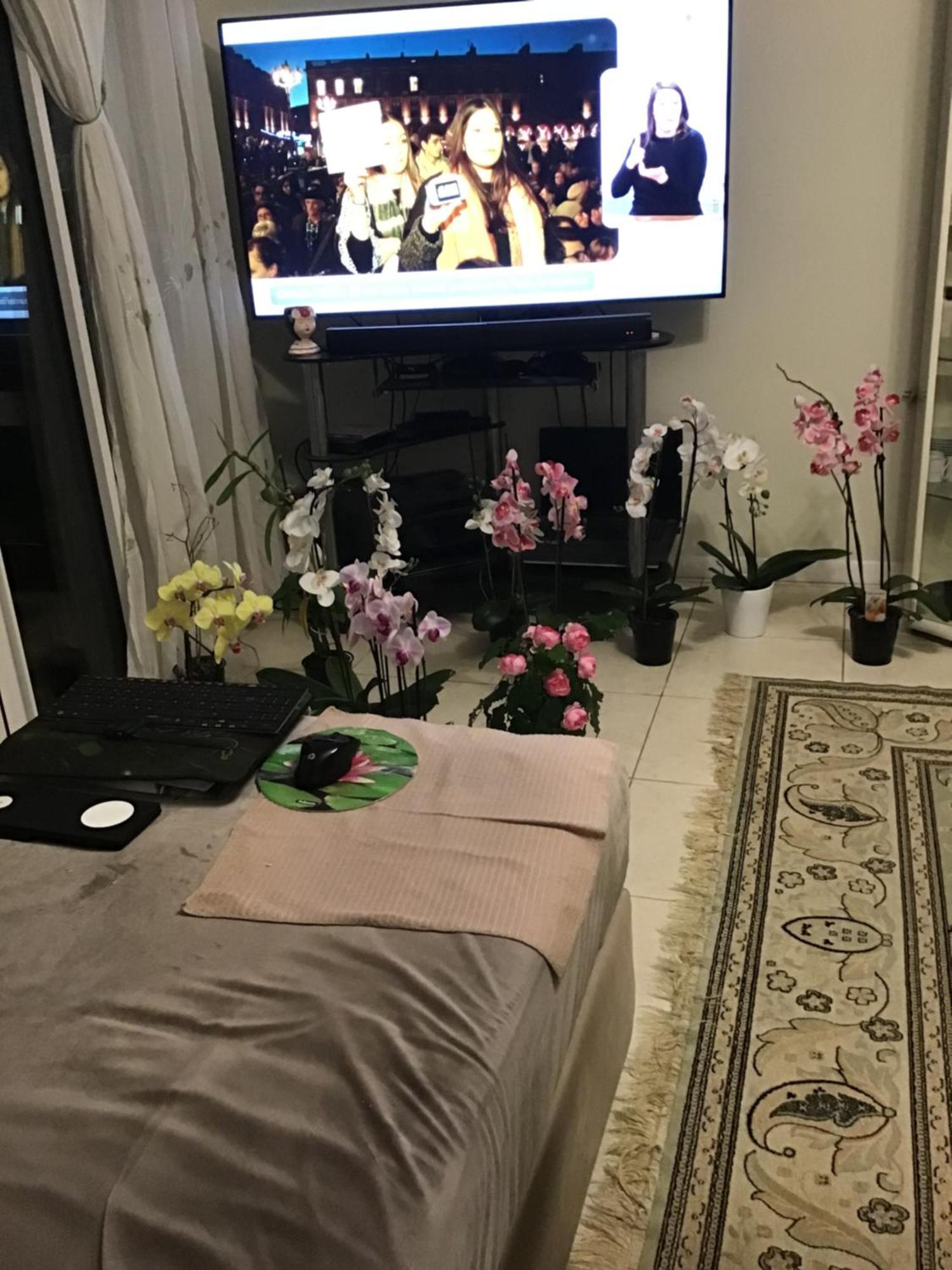 Port Quartier Antiquaire Homestay Nice