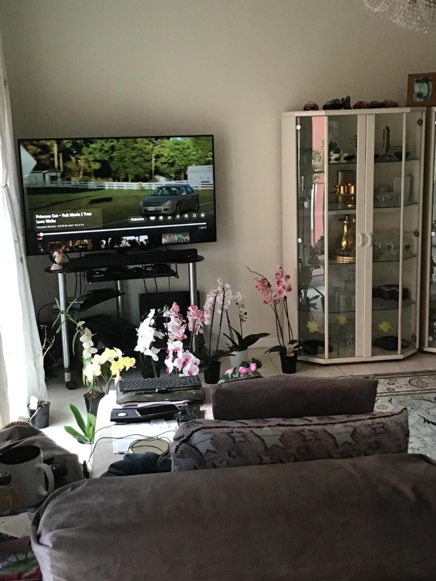 Homestay Port Quartier Antiquaire Nice