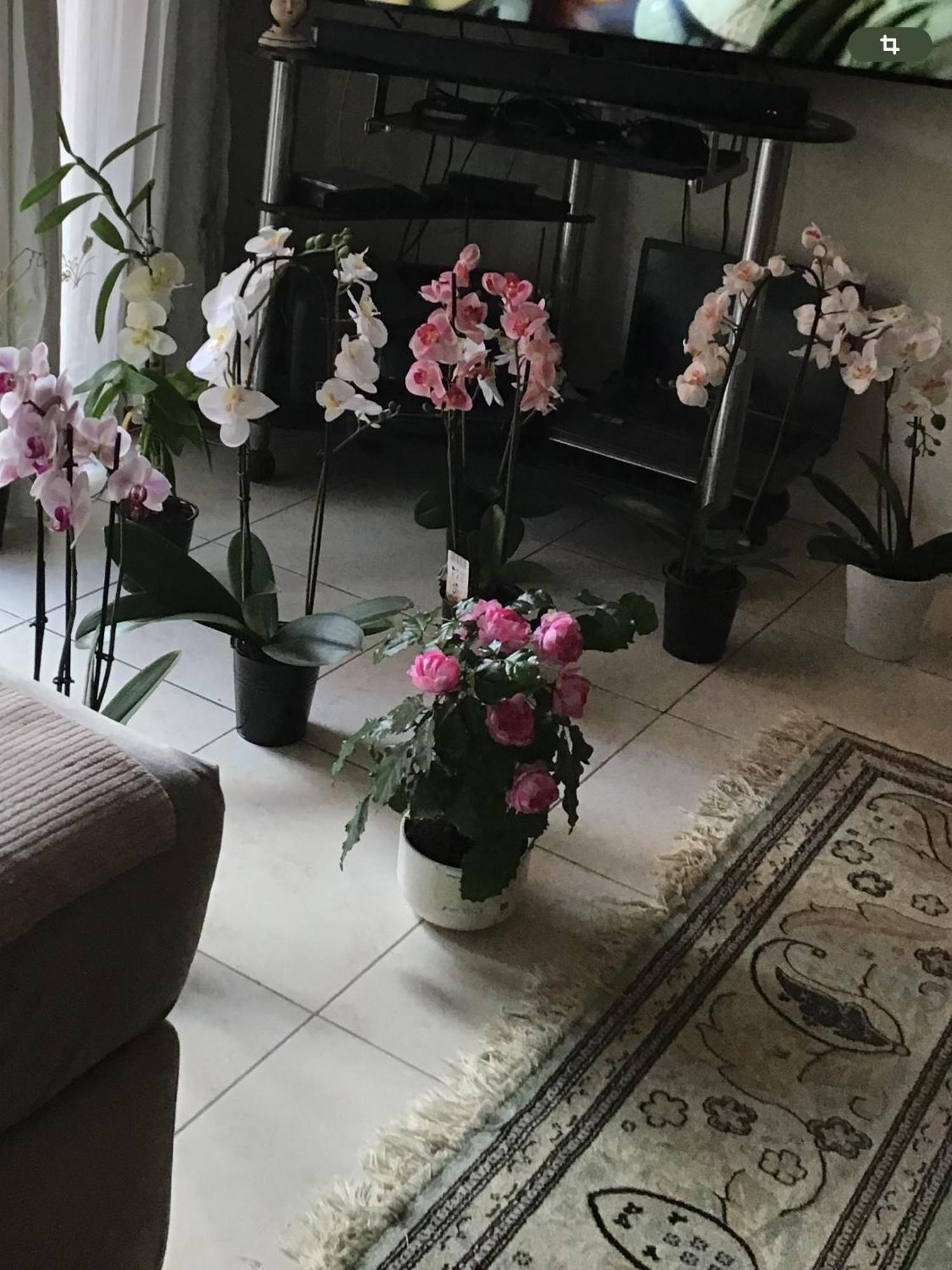 Homestay Port Quartier Antiquaire