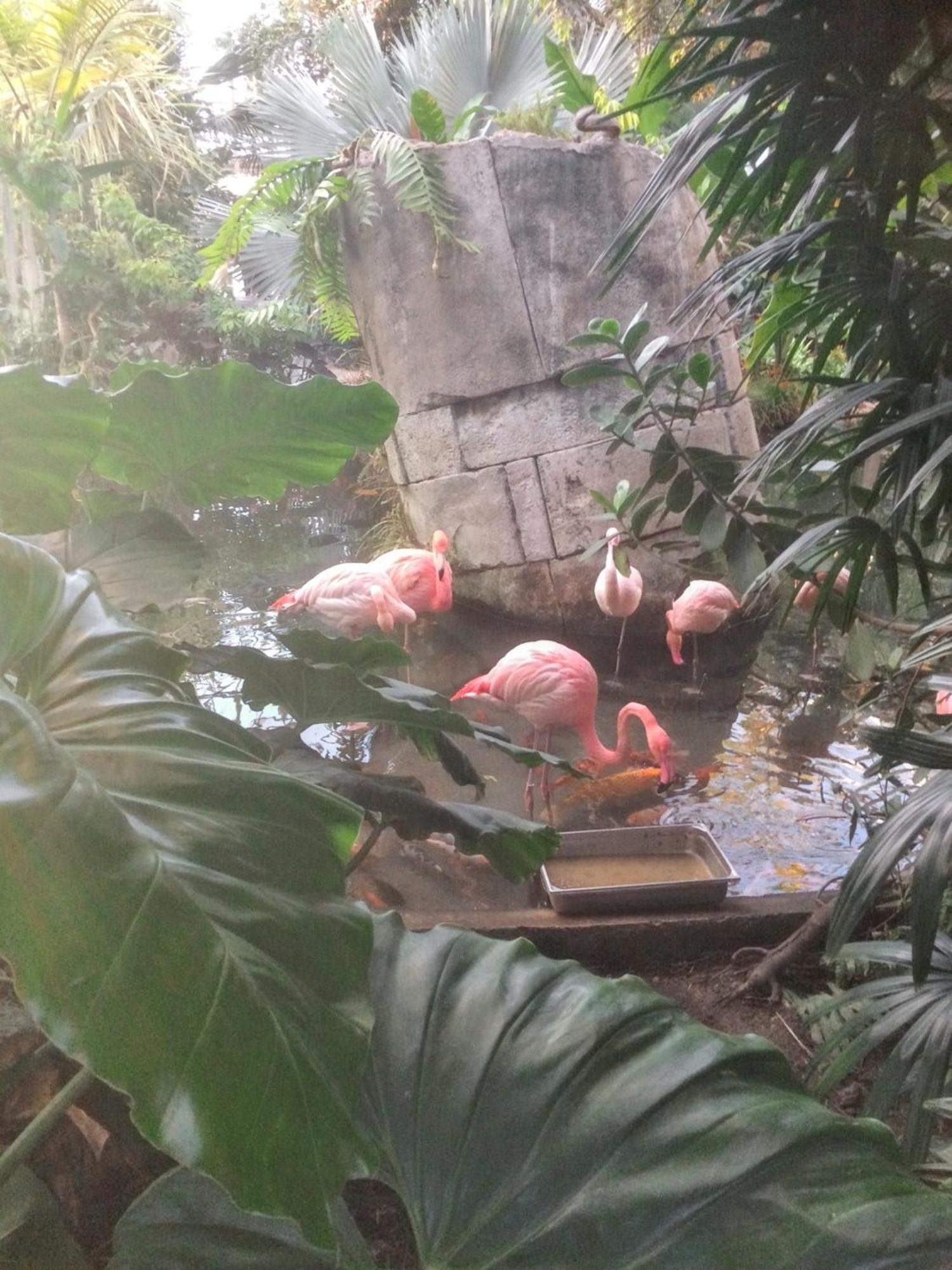 Appartement Charmant A Nice / 50 M² / Vue Sur La Ville