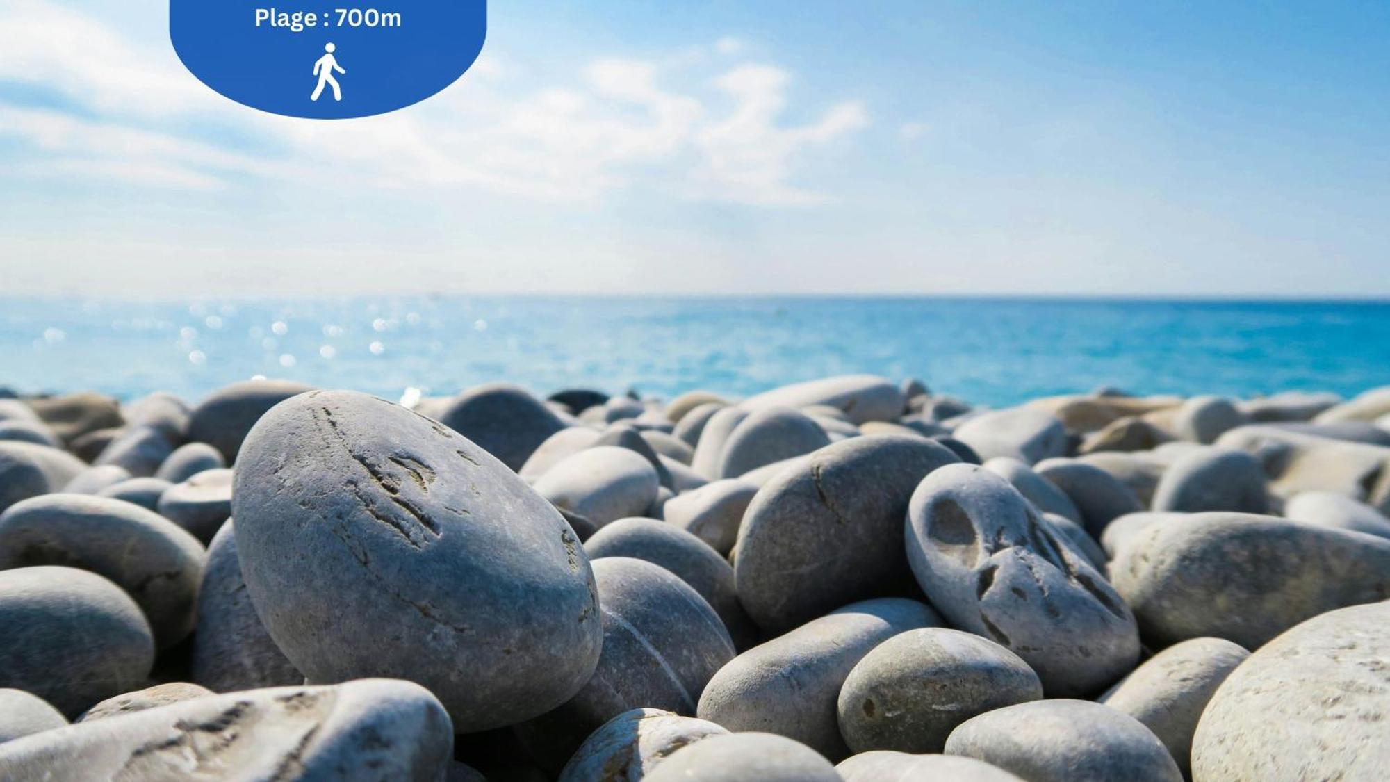 Cocon Et Paisible Au Coeur Du Vieux Apartment Nice