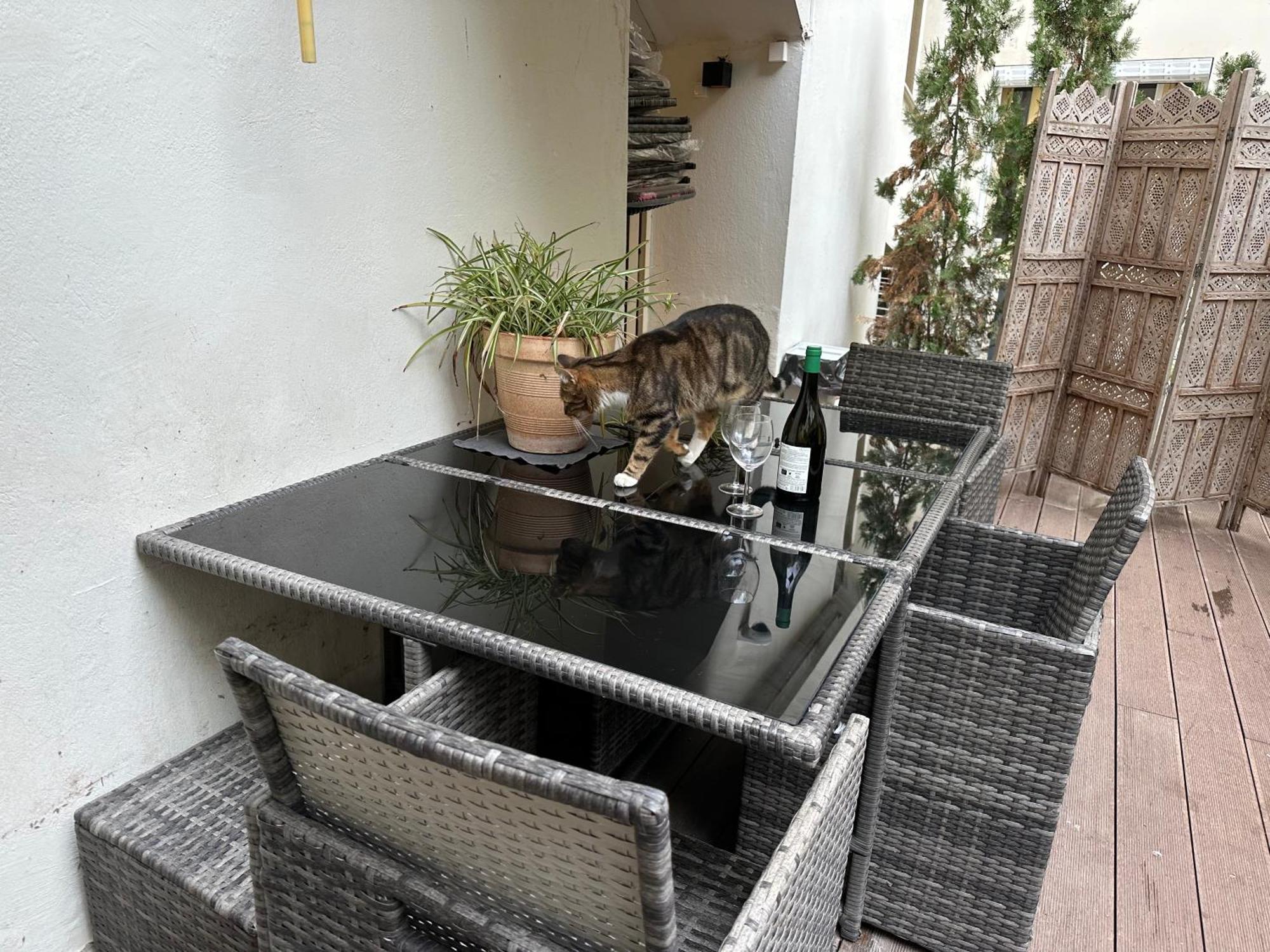 Apartment Promenade Des With Ac Near Negresco *