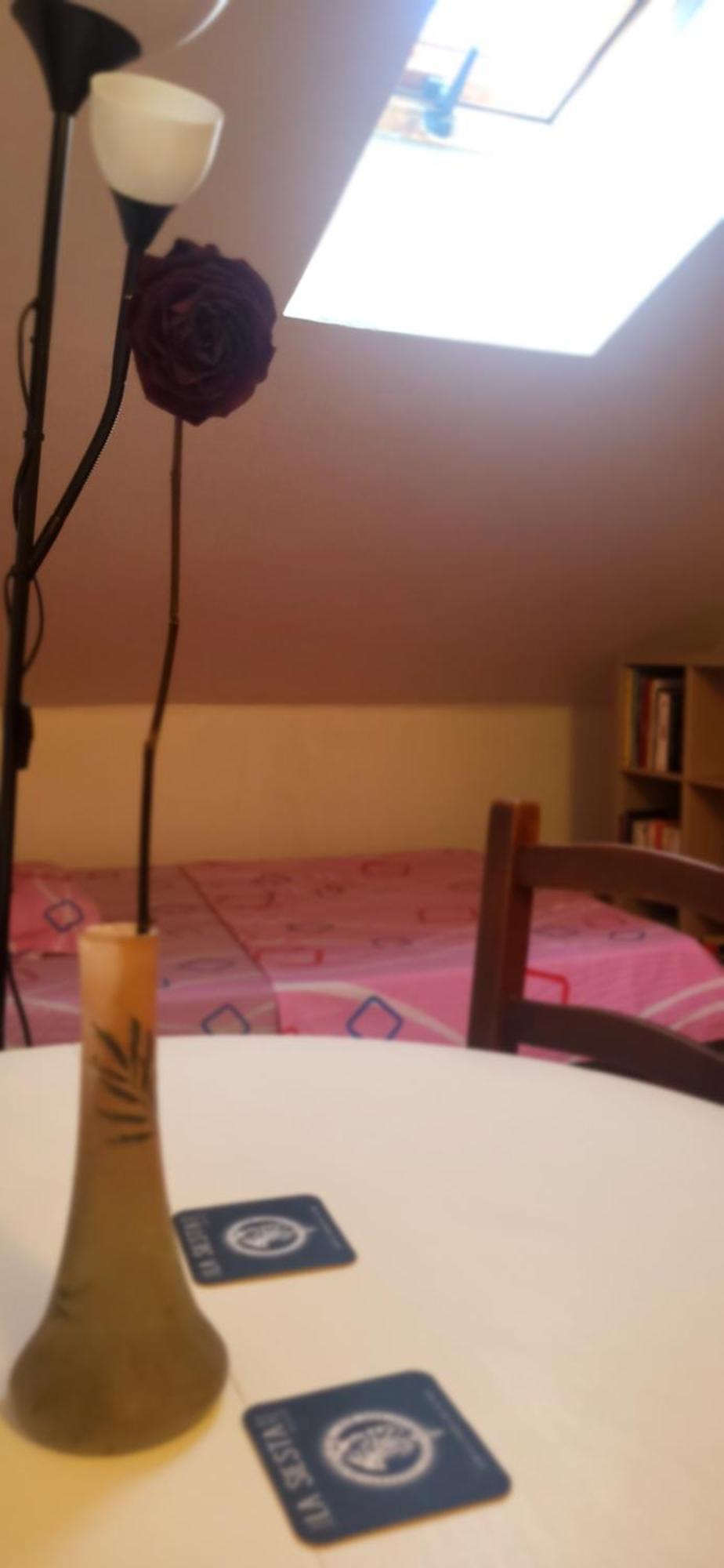 Jolie Privee Centre-ville Hostel