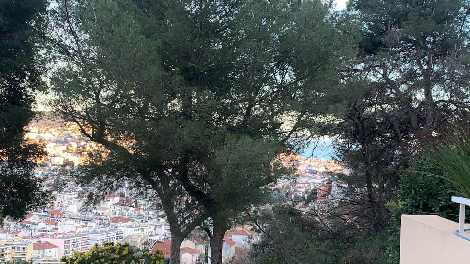 Homestay D Avec Clim Terrasse Et Petit Dejeuner Hauteurs De Nice