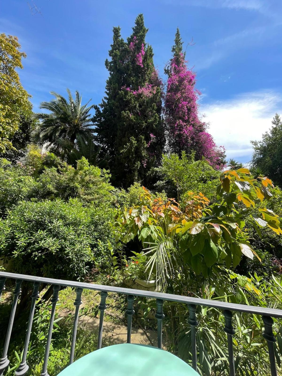 Carré D'or, Superbe Sur Jardin, élégant Et Ensoleillé Appartement Nice