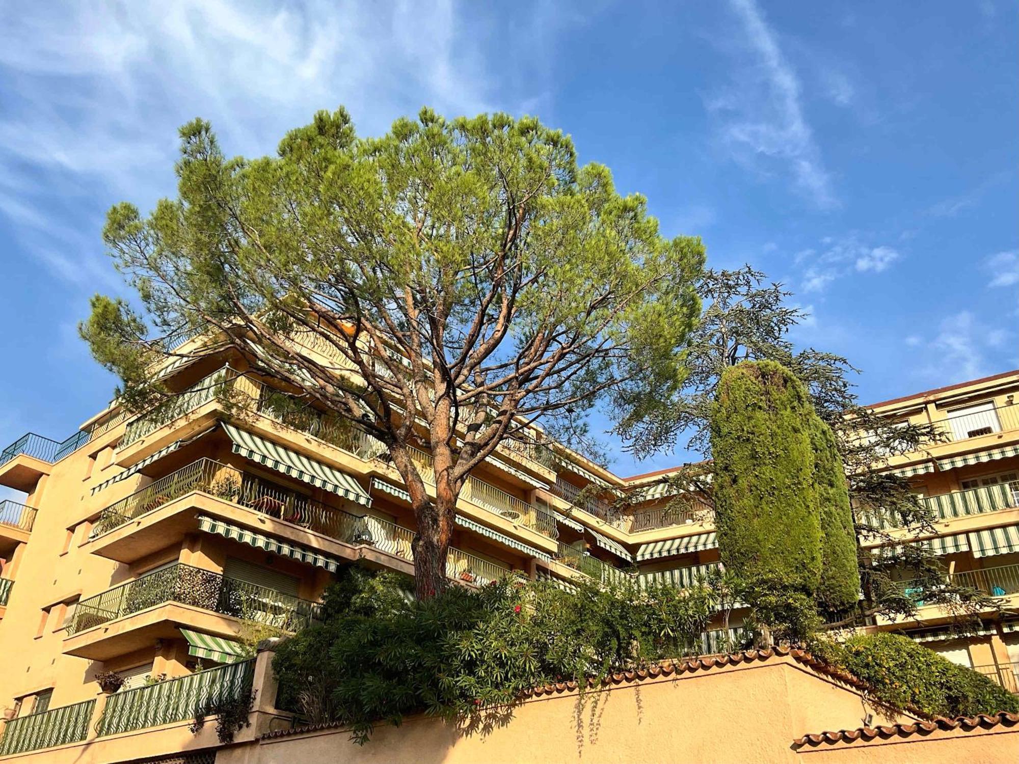Lympia - One Bedroom Near The Port Nice