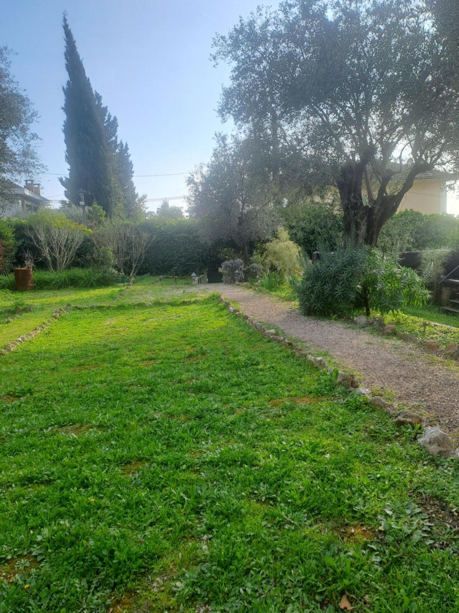 Homestay Maison Du Bonheur Calme Et Verdure Nice
