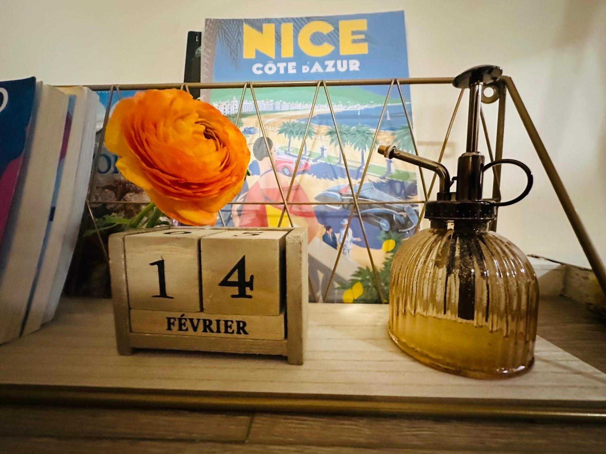 Apartment Amber - Highlights And Nice