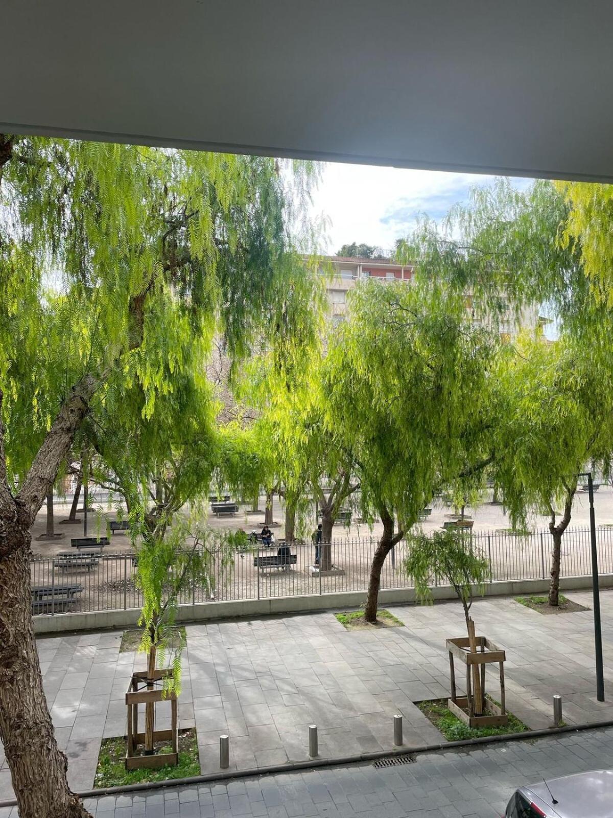 Apartment Spacieux 2 Pieces Au Port De *