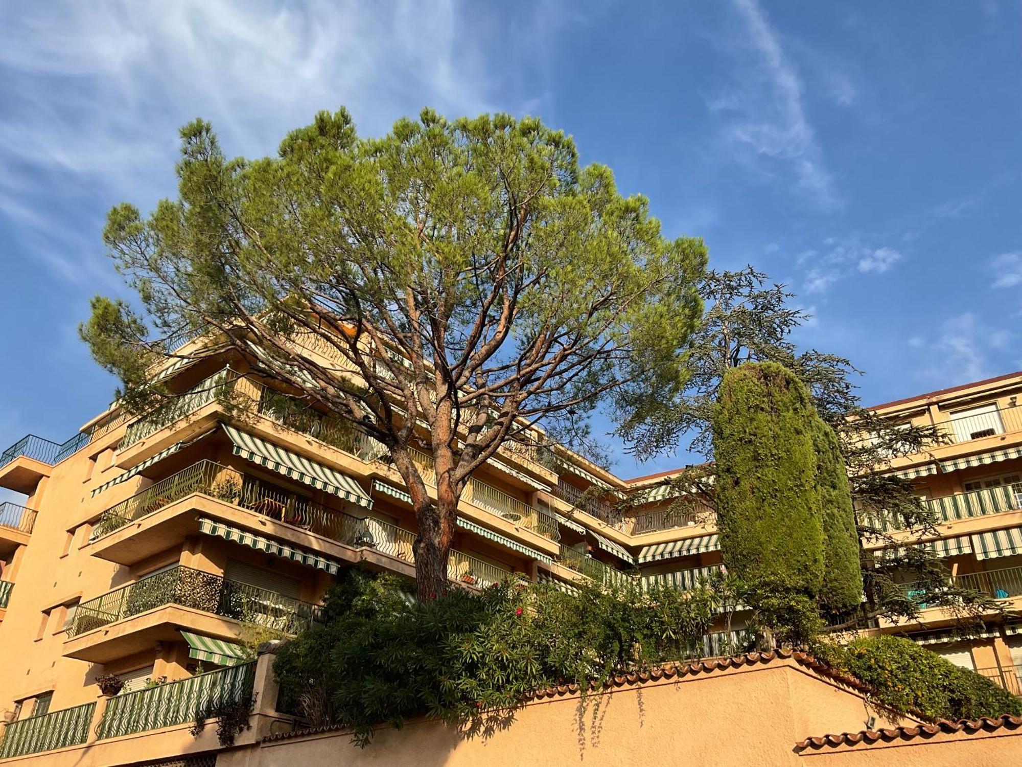 Apartment Lympia - One Bedroom Near The Port Nice