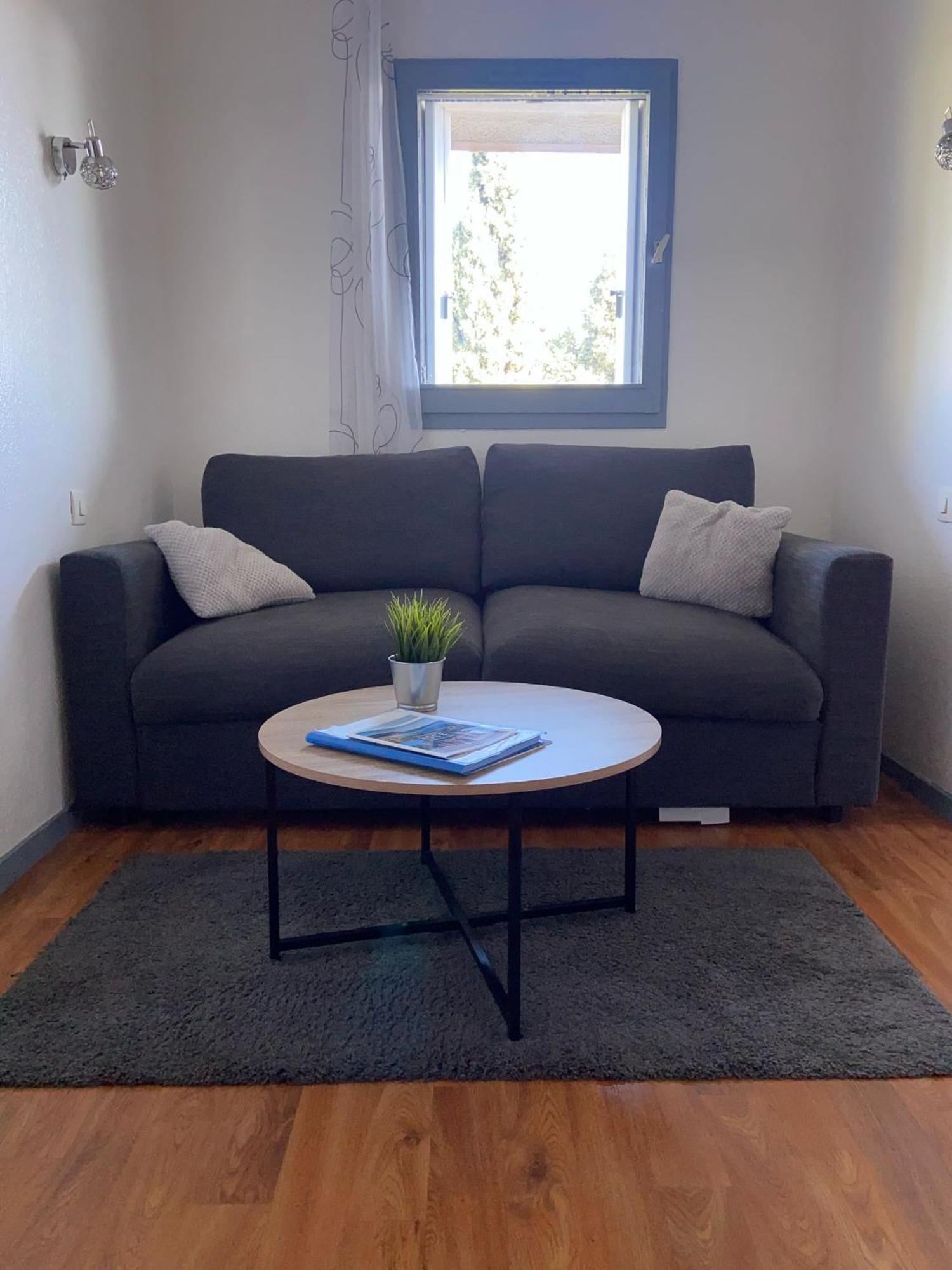 Les Palmiers A 700m De La Nice