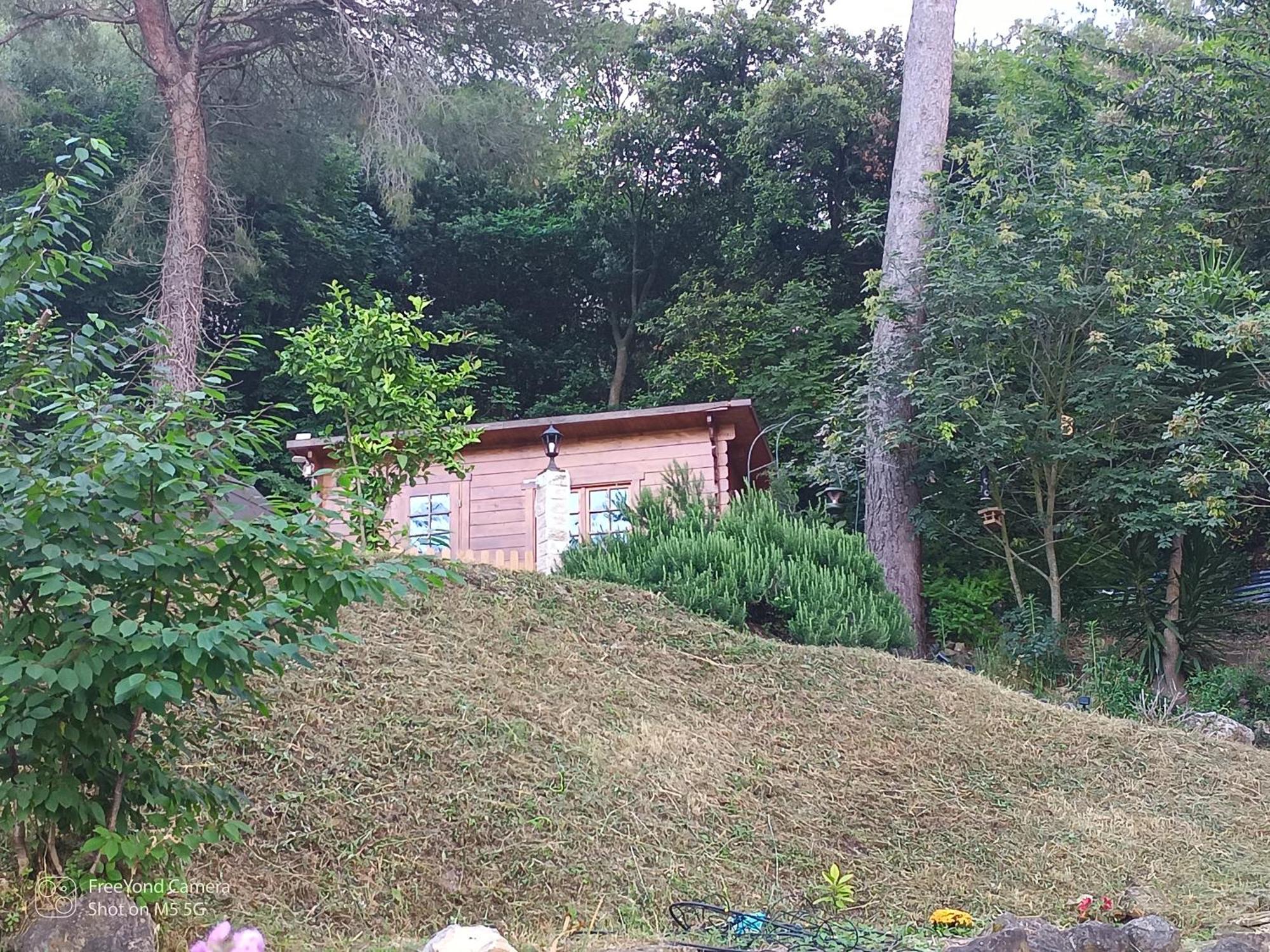 Grand At Don Quijote * Nice