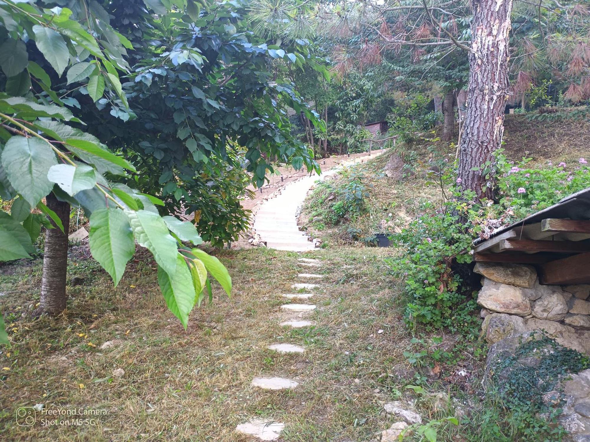 Grand At Don Quijote Chalet Nice