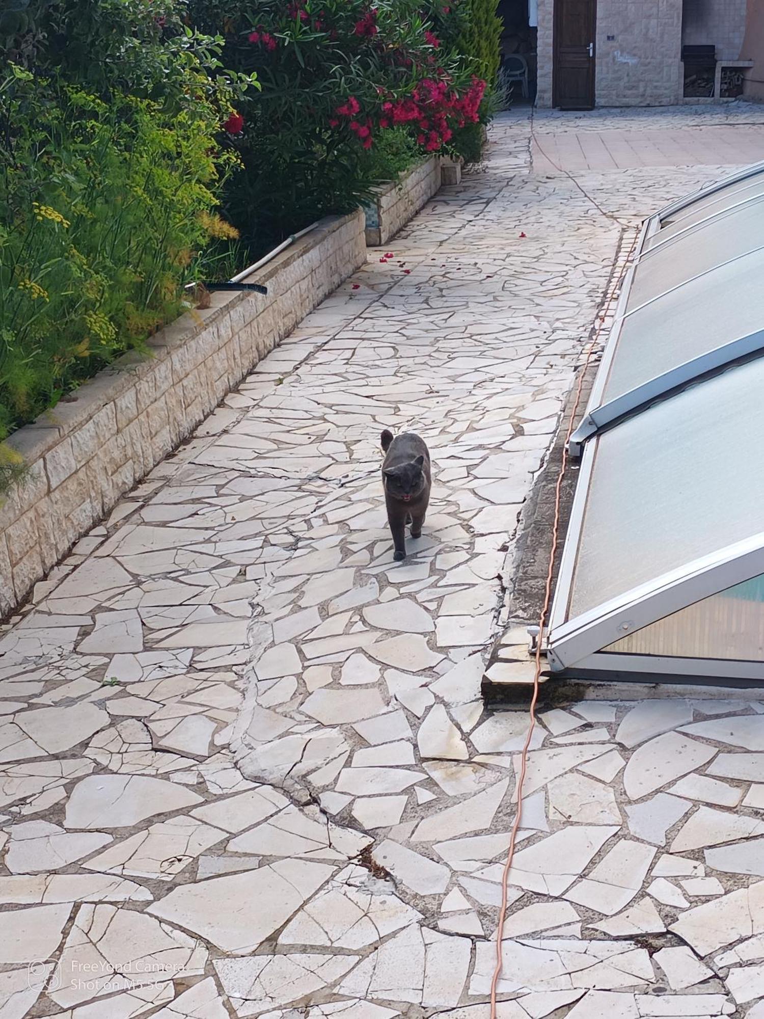 Grand At Don Quijote Chalet Nice