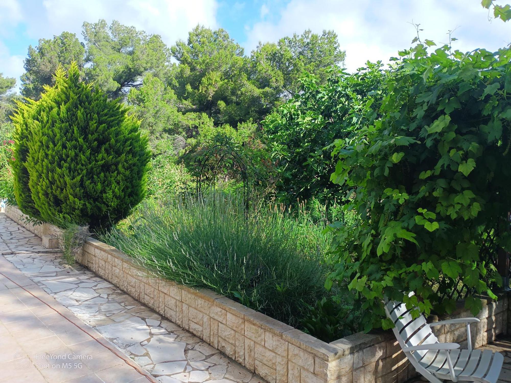 Grand At Don Quijote Chalet *