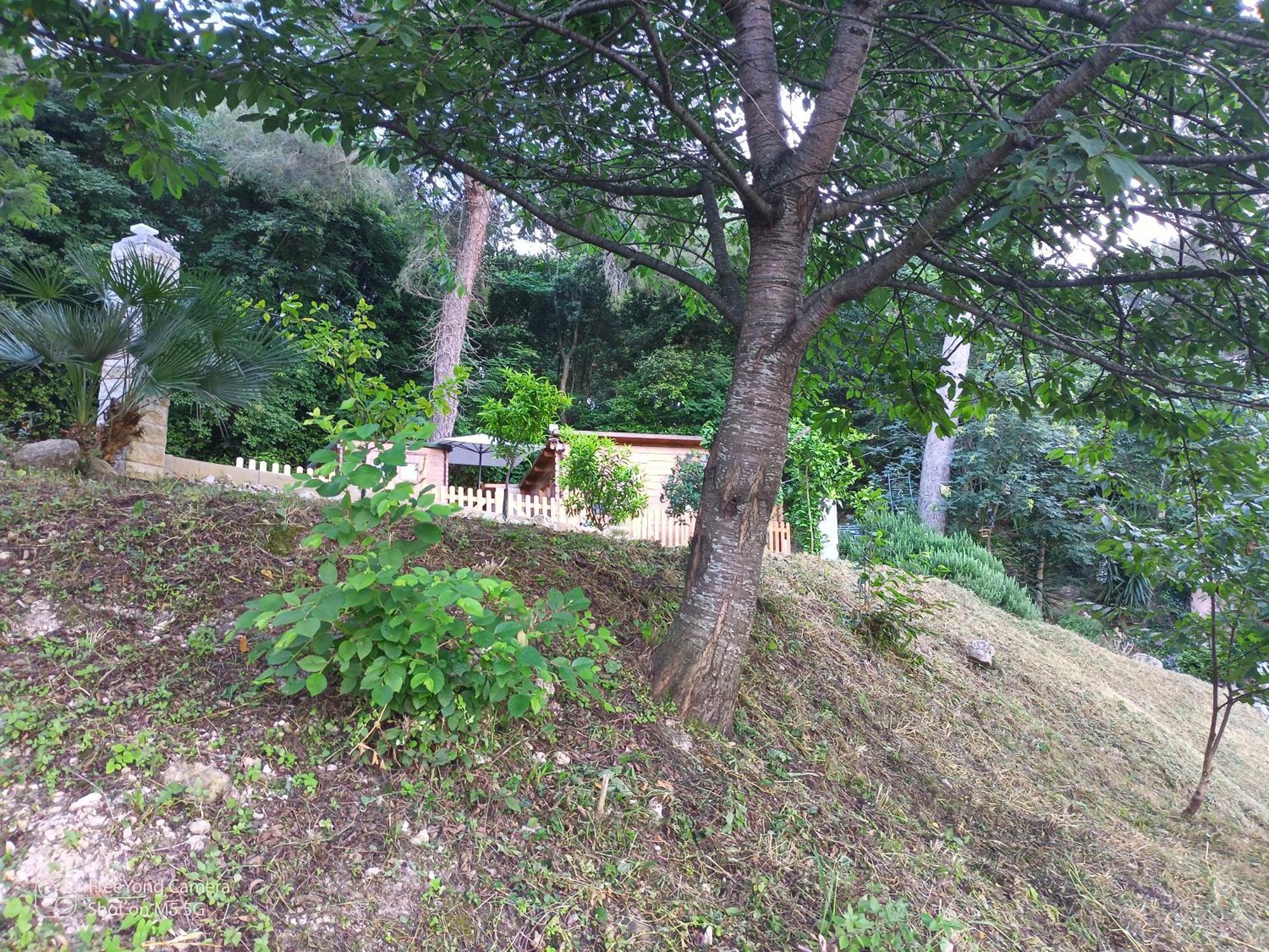 Chalet Grand At Don Quijote