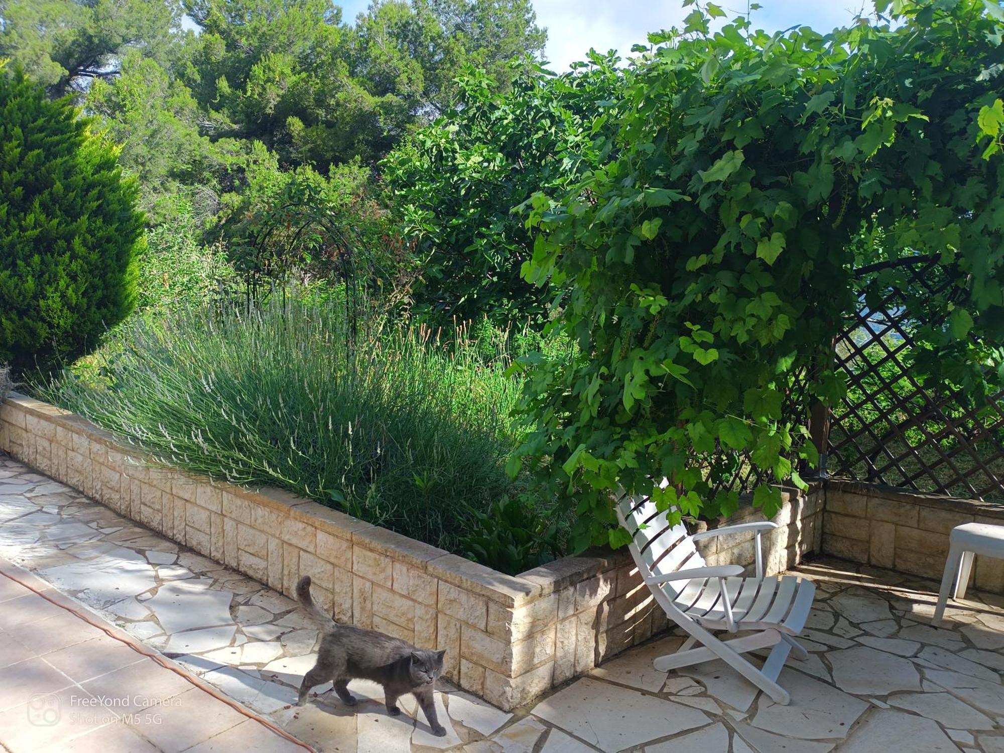 Grand At Don Quijote *