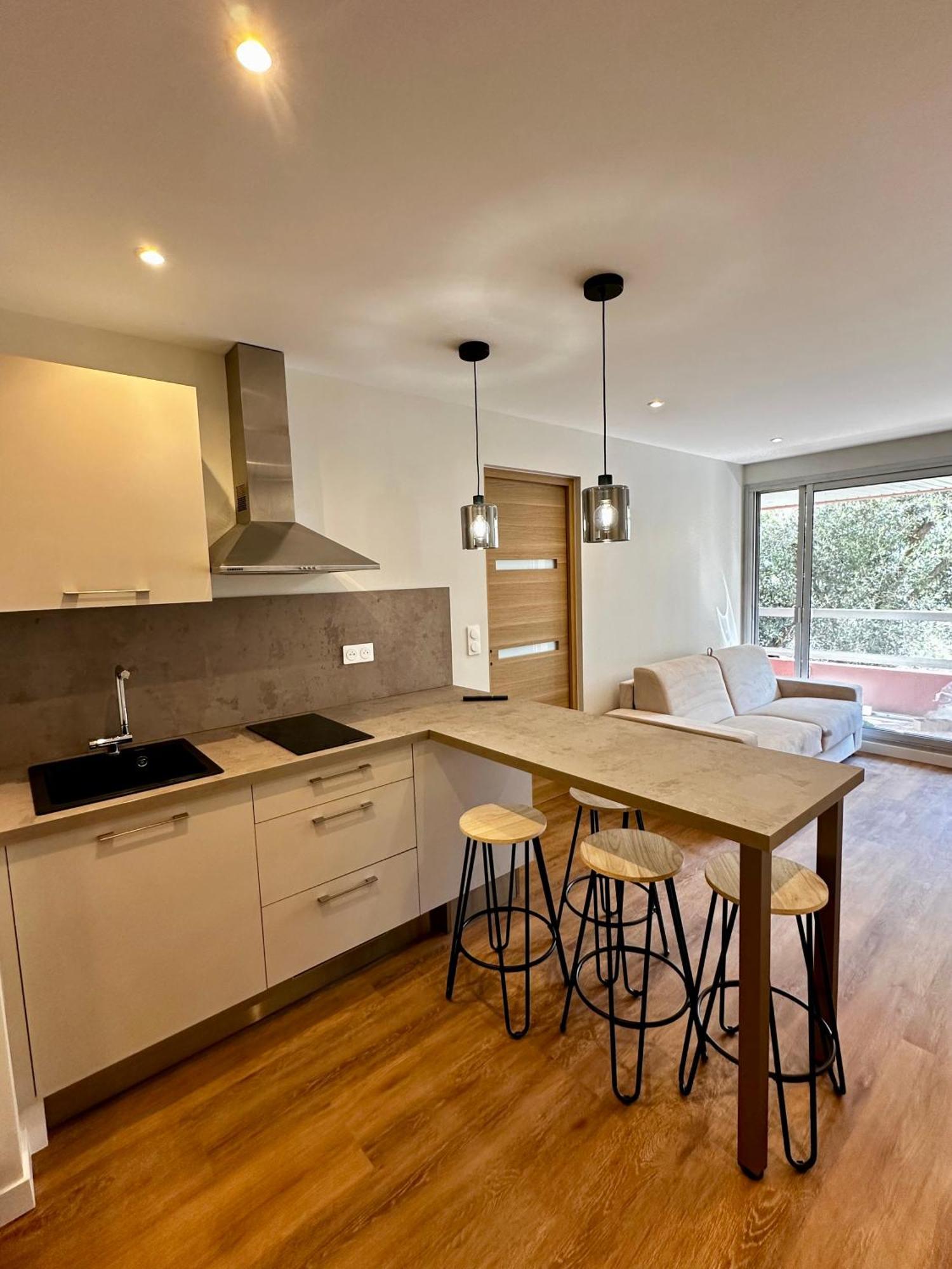 Superbe 2 Pieces Avec Piscine Apartment Nice