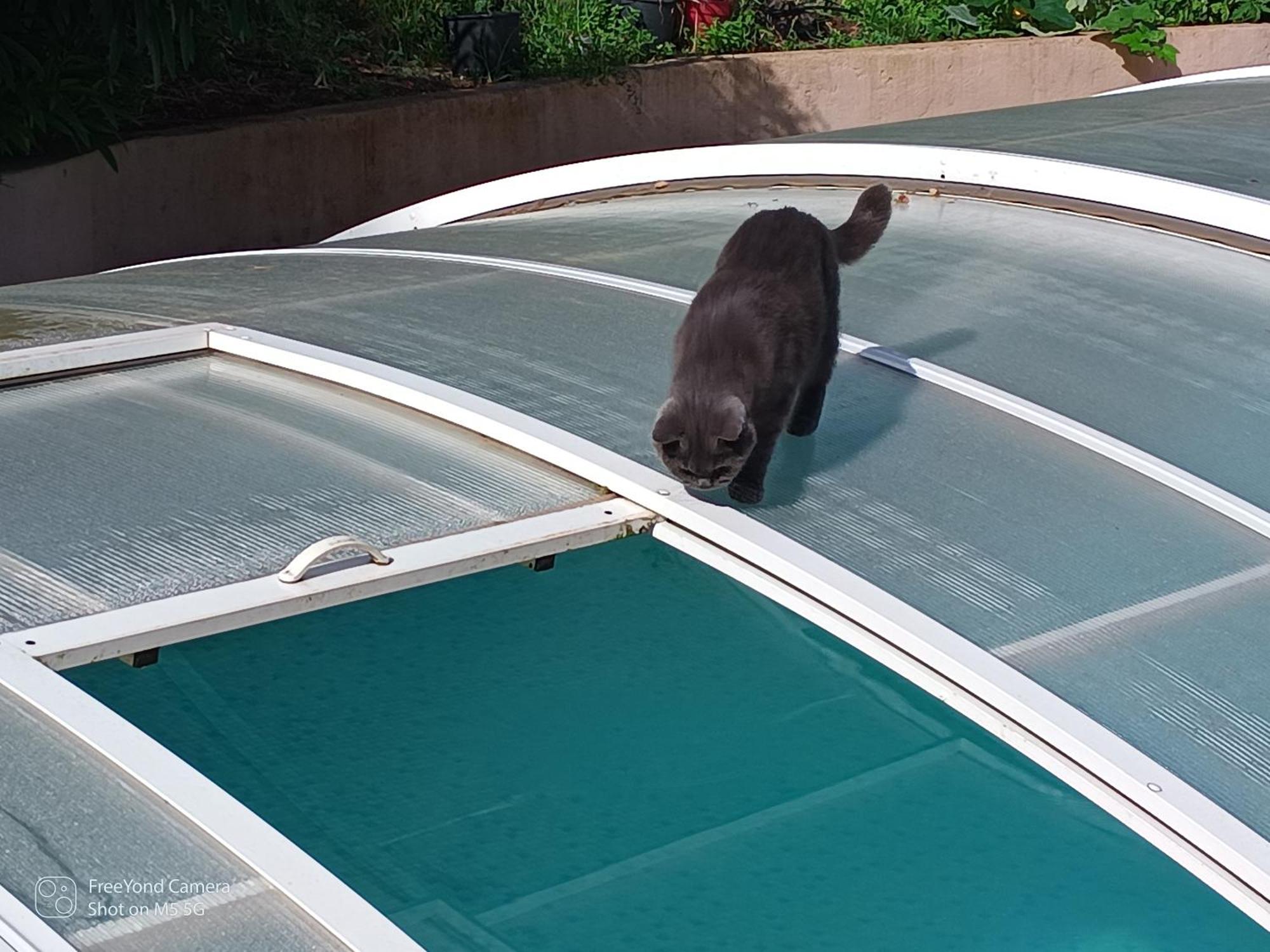 Dans Don Quijote Apartment