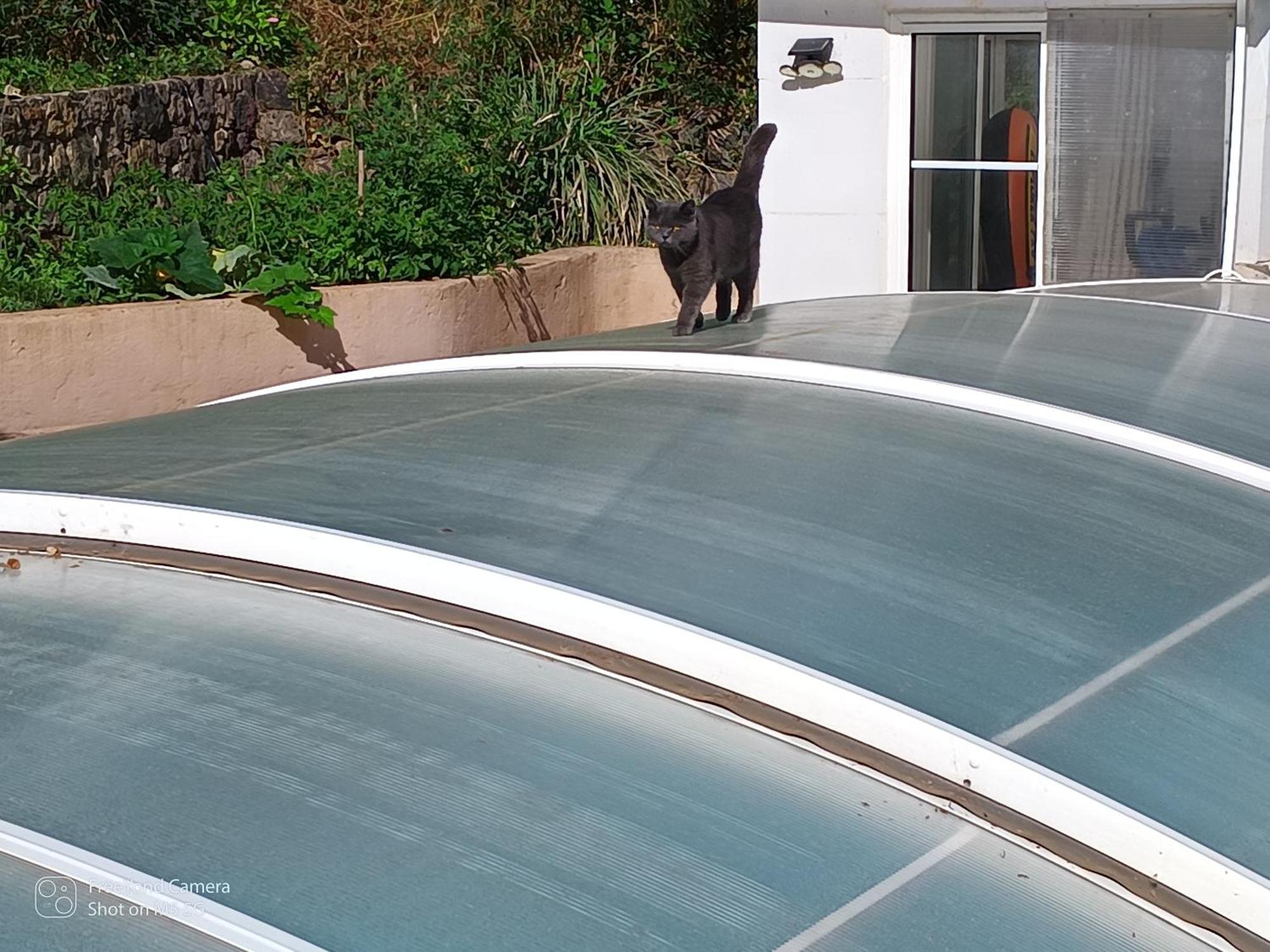 Dans Don Quijote * Nice