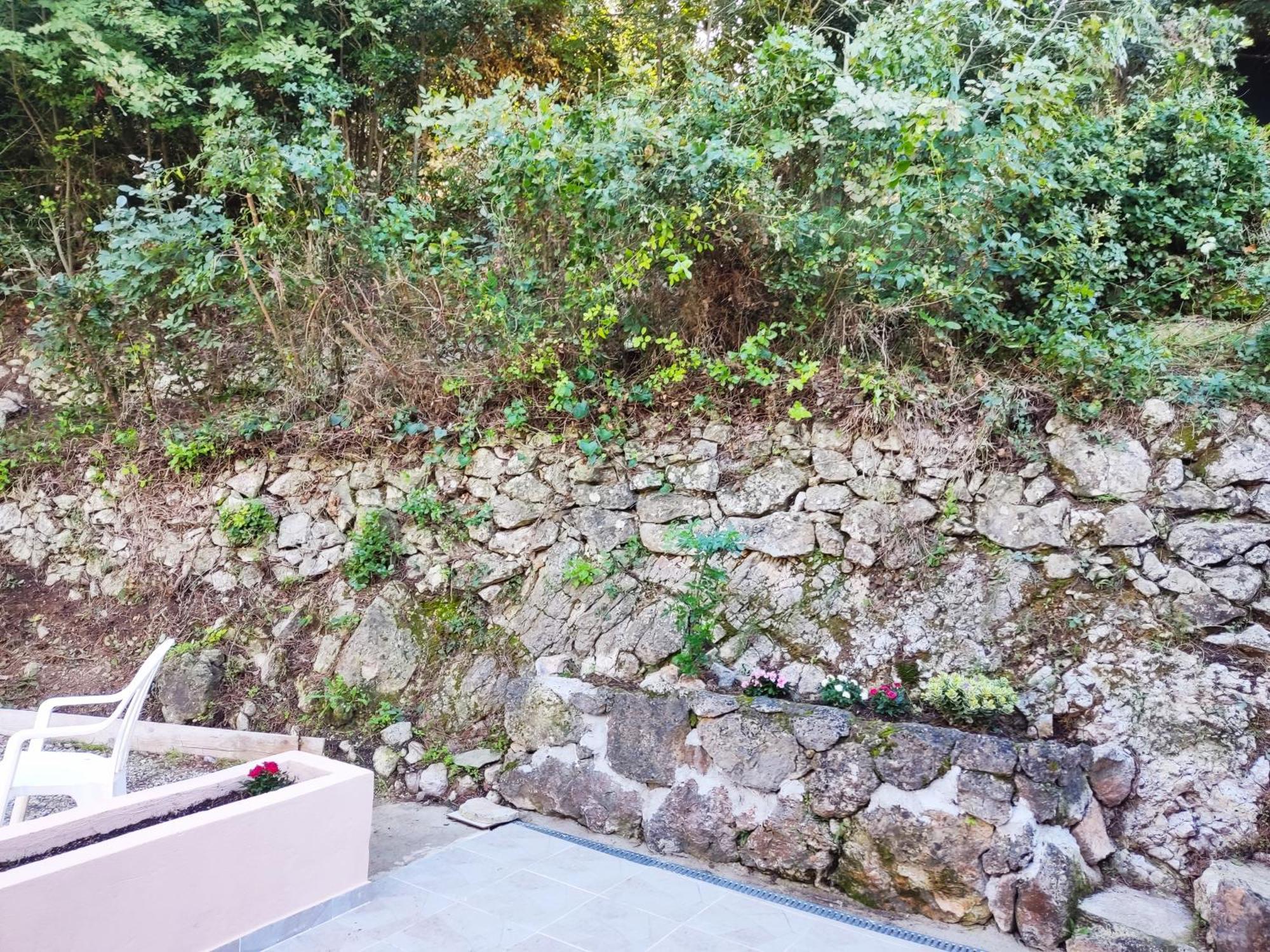 Dans Don Quijote Apartment Nice