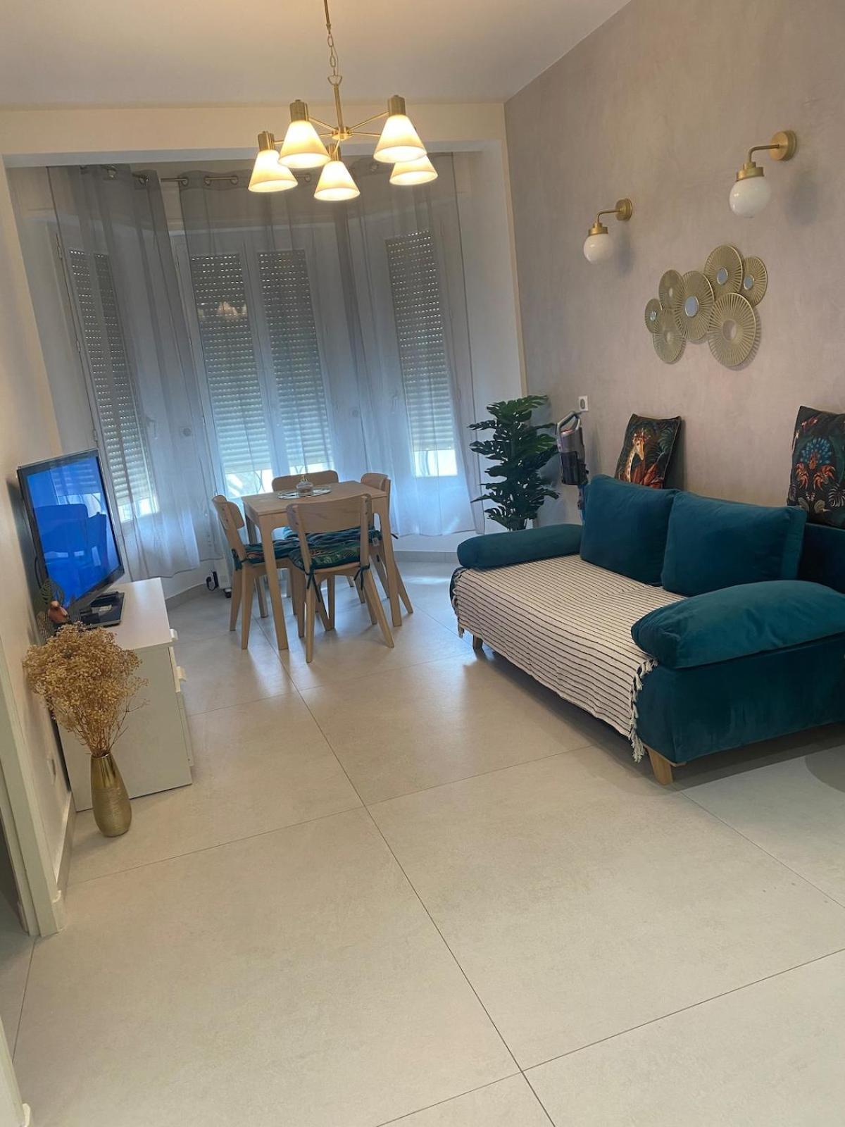 Apartment Zgondoiu Nice