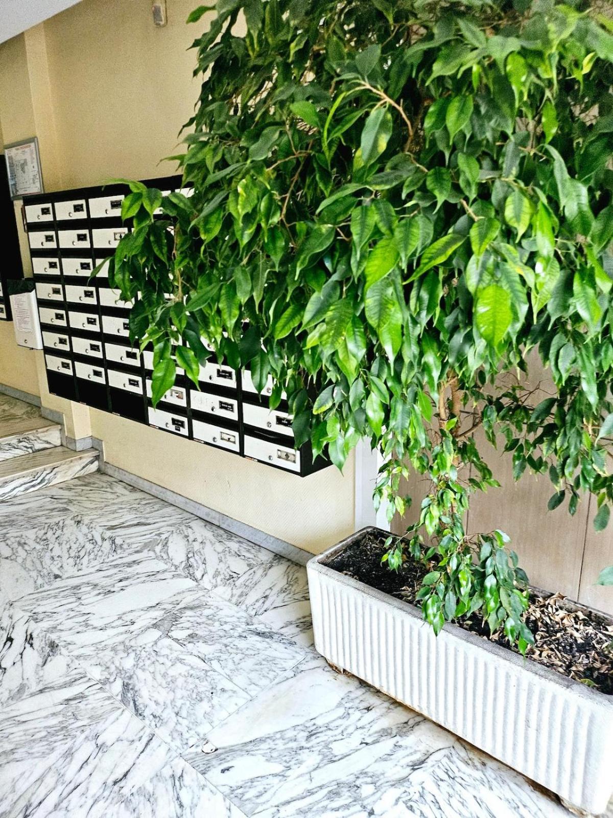 T1 Bord De Appartement