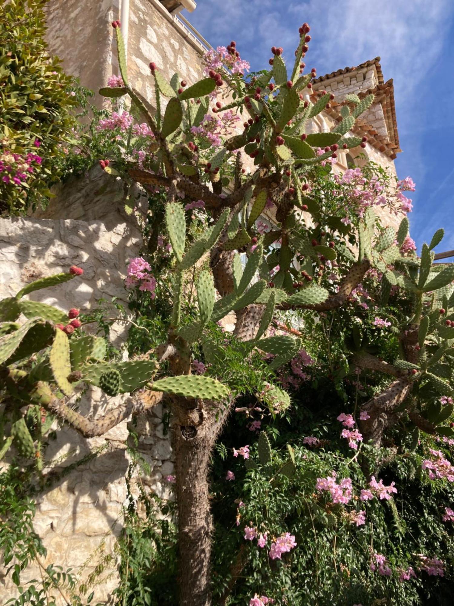Wunderschoene In Jugendstilvilla Am Hafen Nice