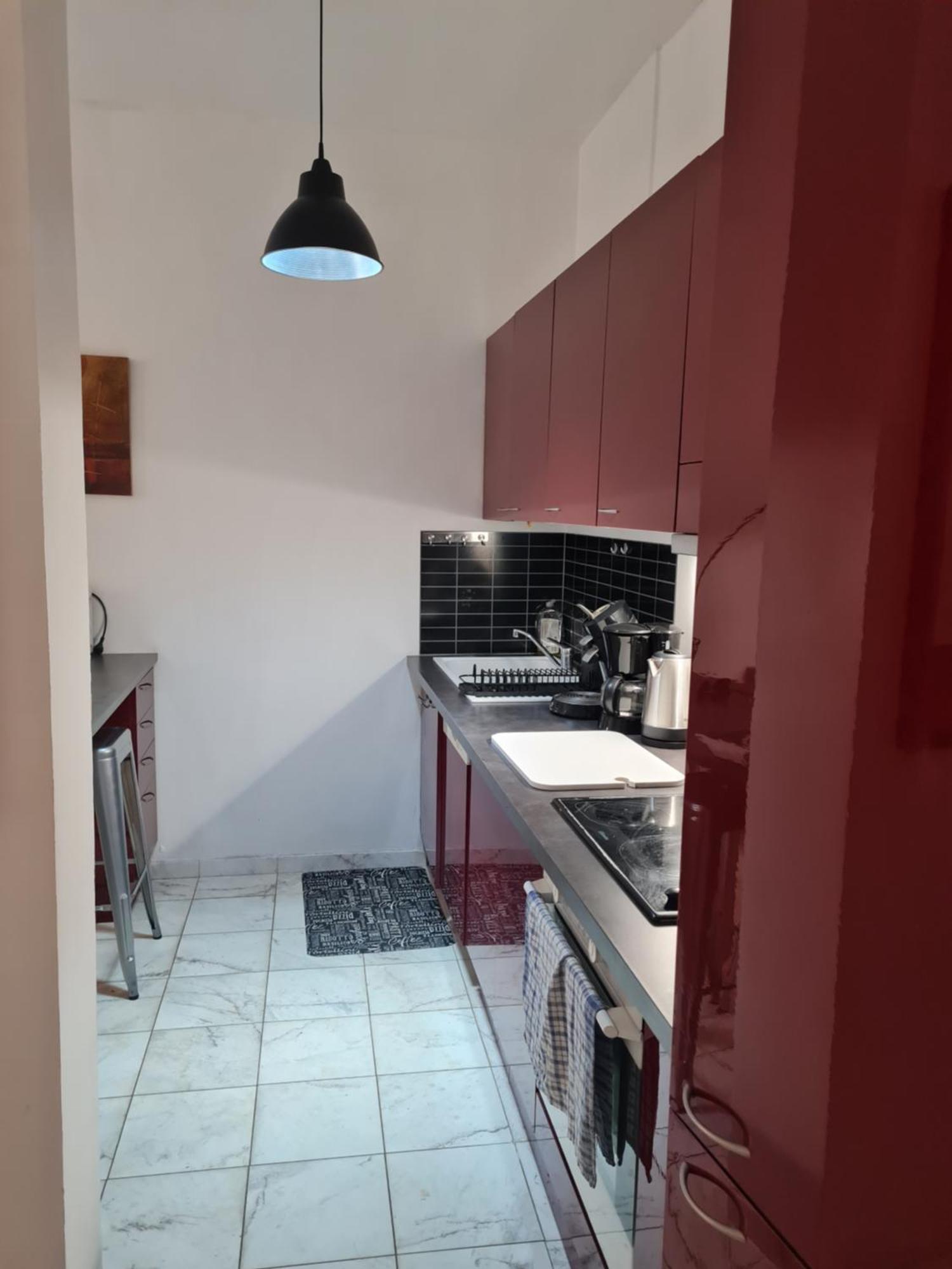 La Palais Osiris Centre Jardin Wifi Clim Parking Appartement *