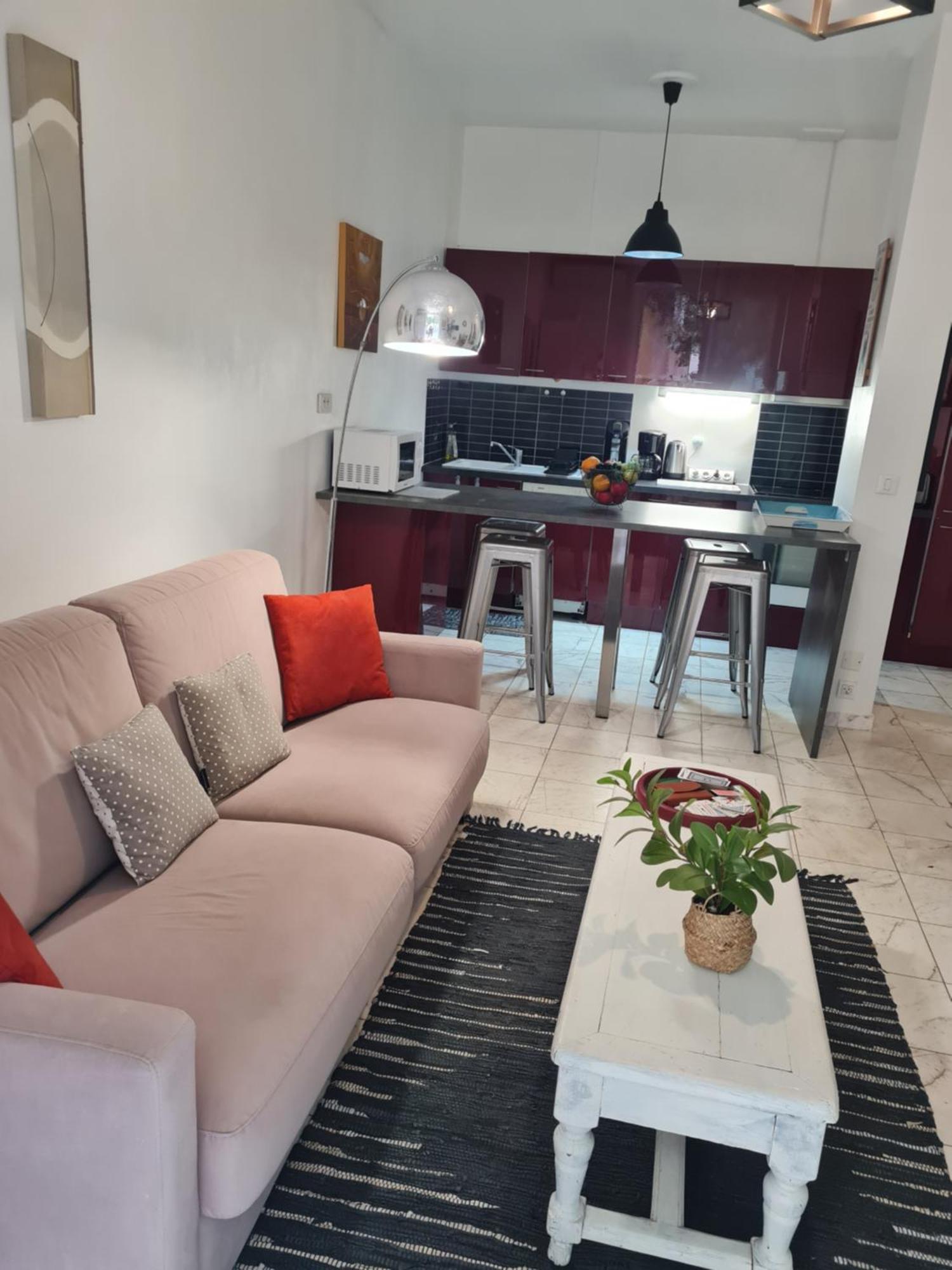 La Palais Osiris Centre Jardin Wifi Clim Parking Apartment *