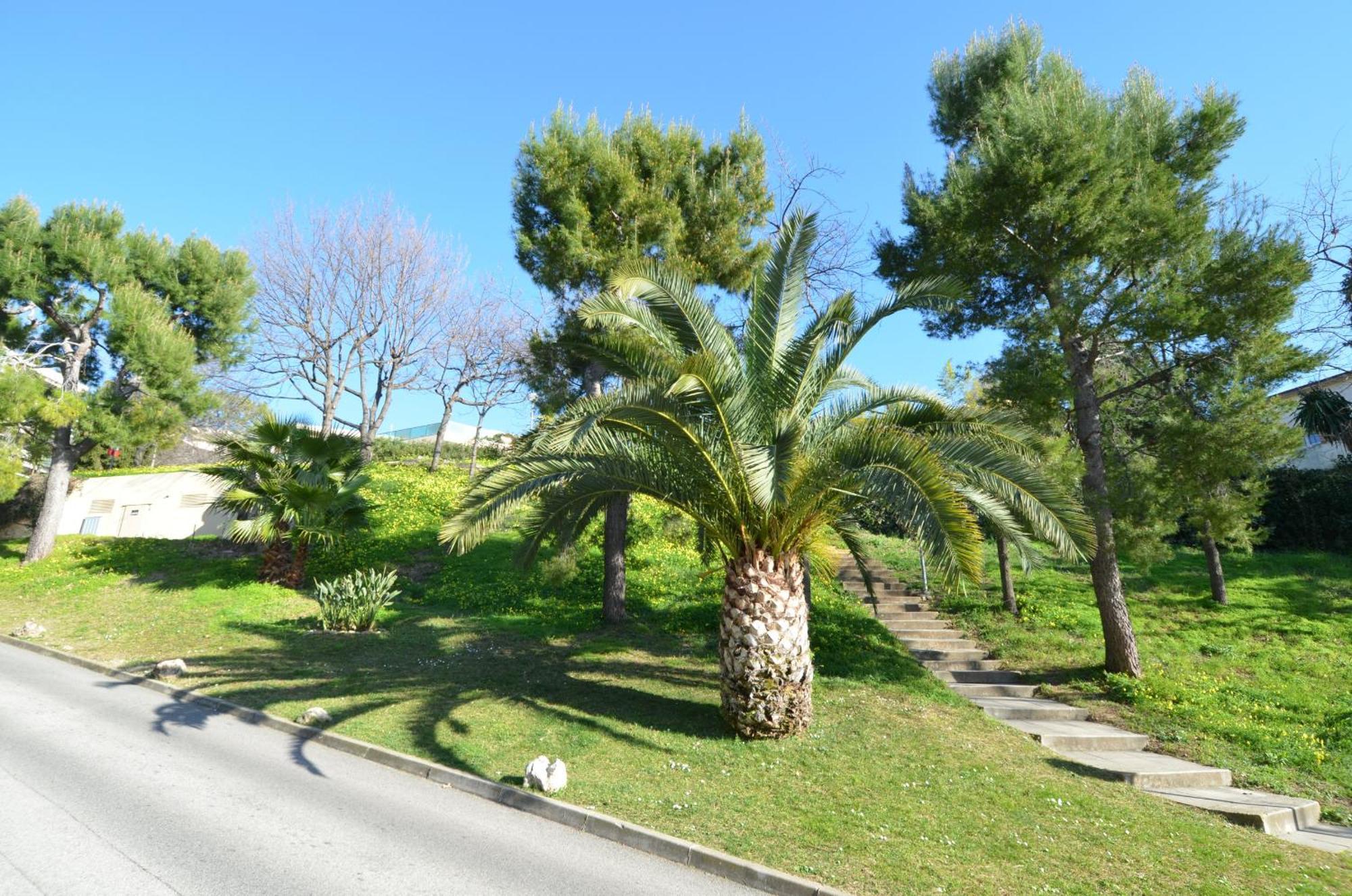 Apartment Plein Ciel - 5 Personnes Avec Piscine Sur La Corniche Fleurie A