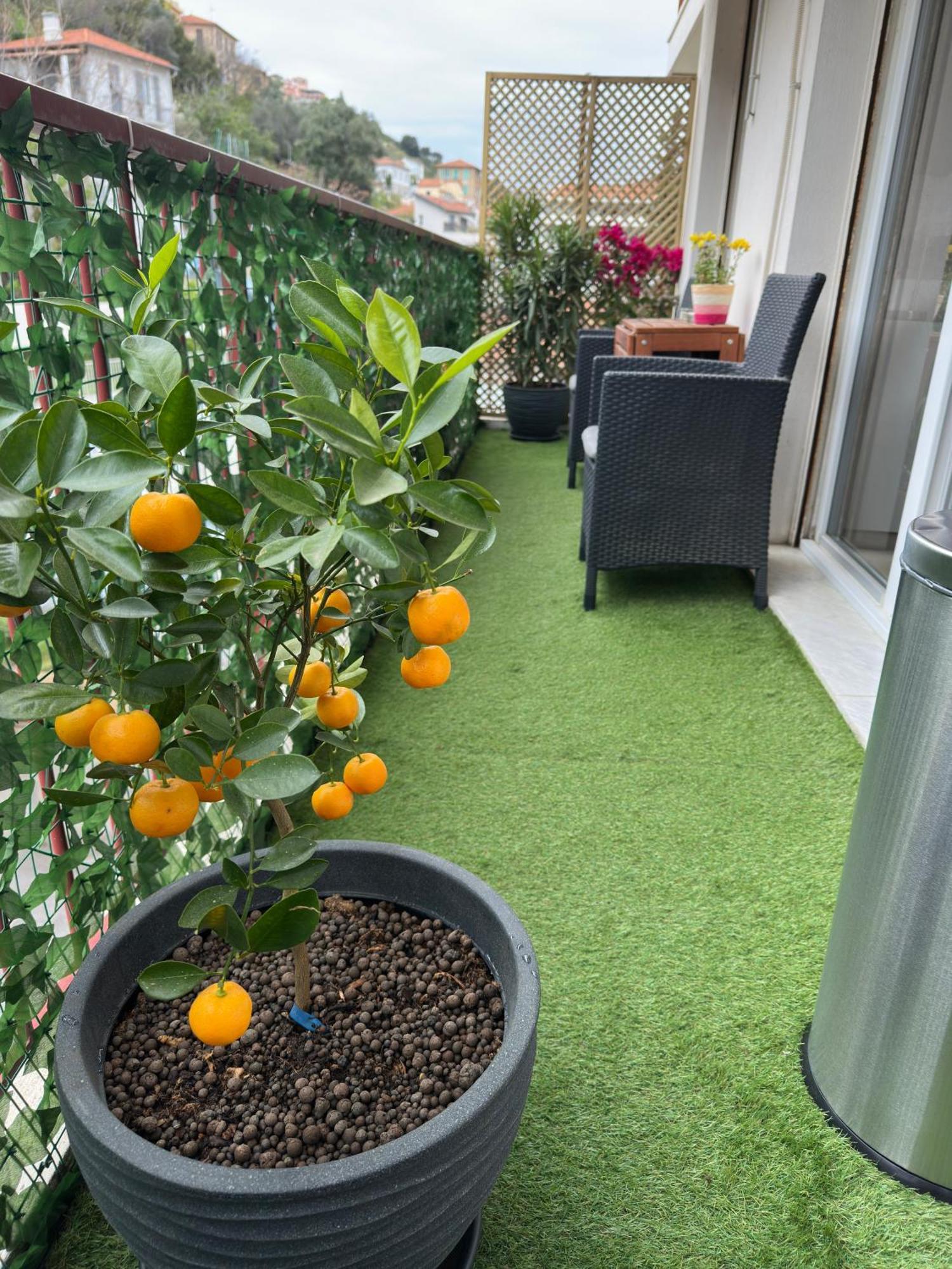 Spacious Riviera Nice