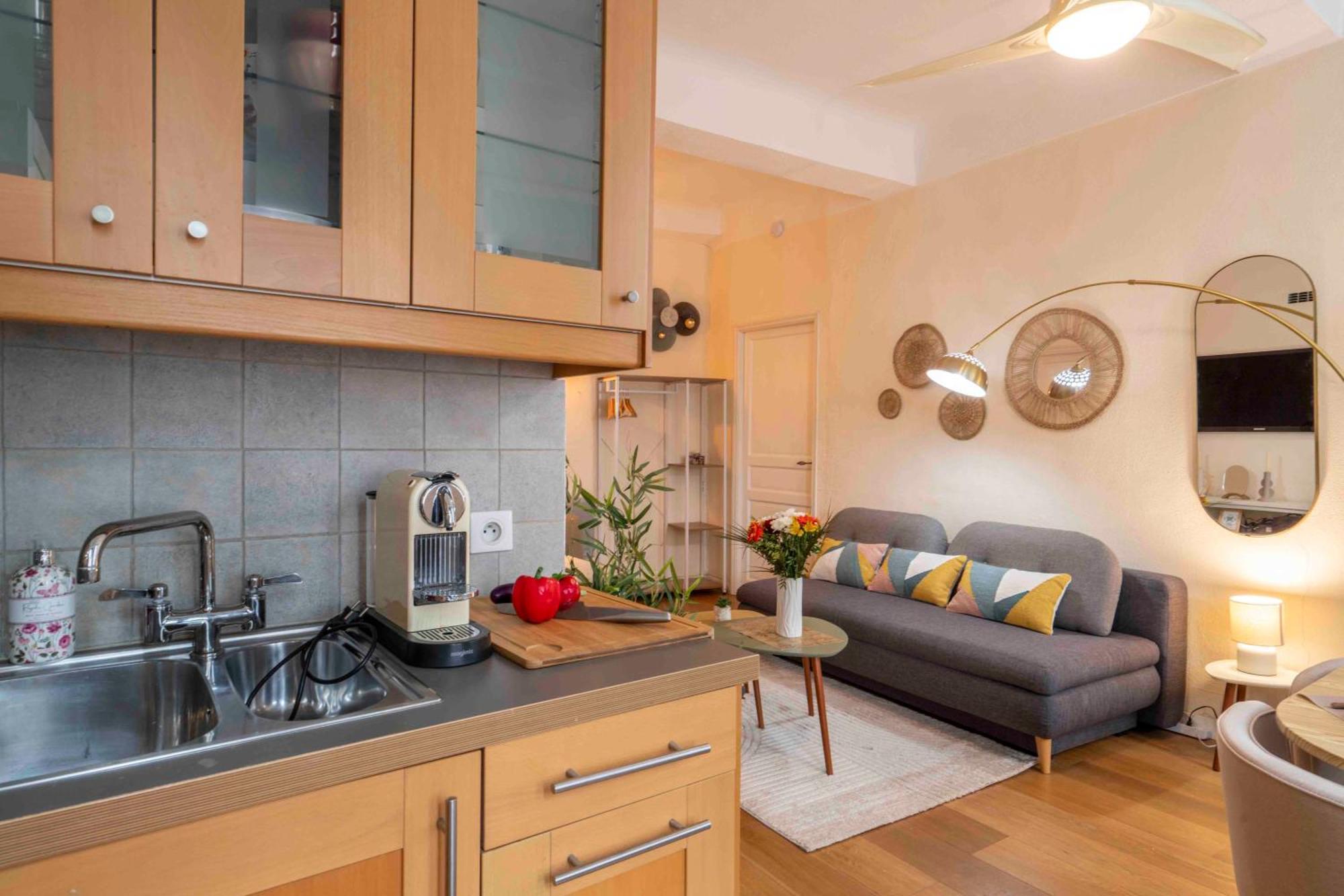 Charming Flat, Fully Equipped, Only 300m - La Loge Nice