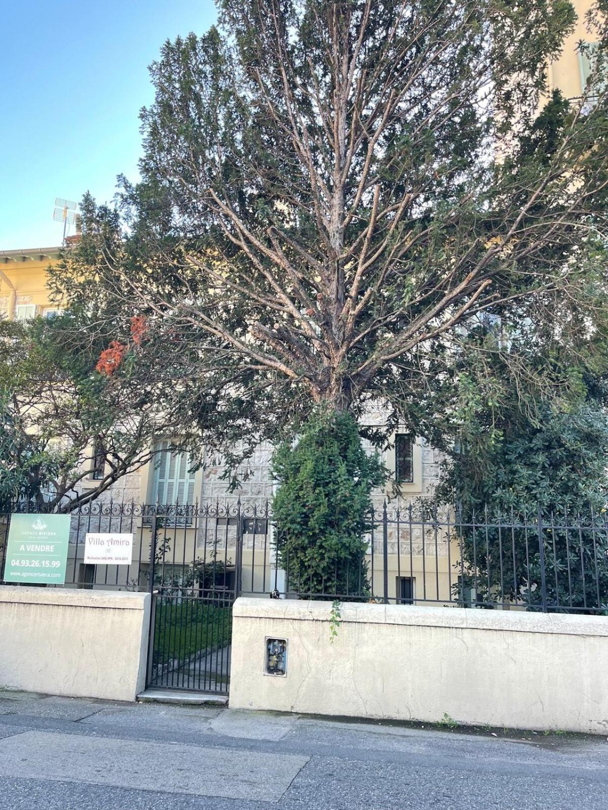 Amira Angely Vauban Apartment