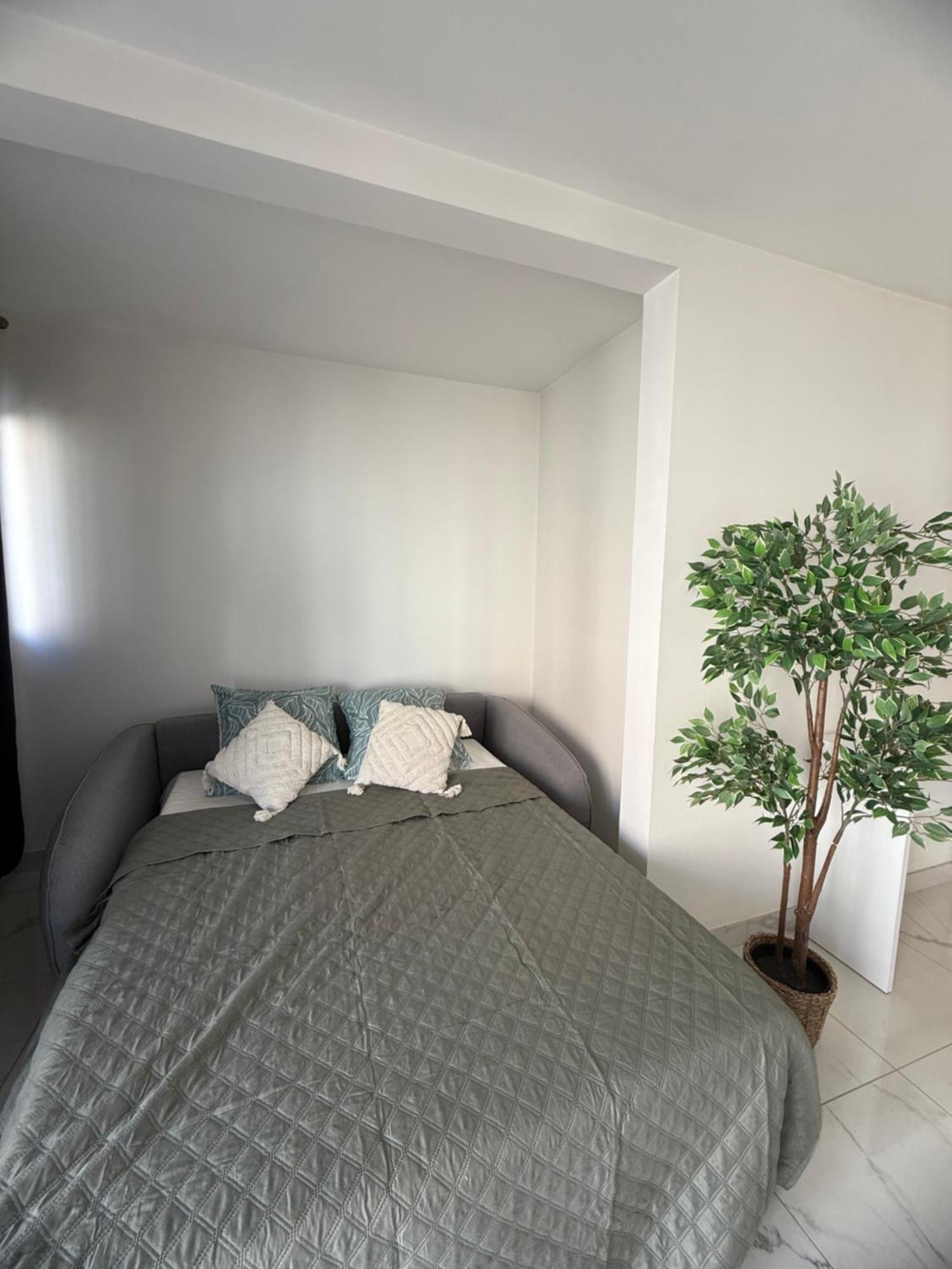 Apartment Magnifique 3 Pieces A 100m De La Nice