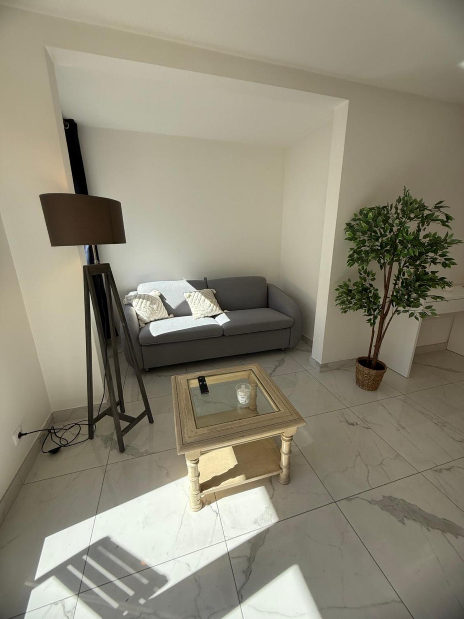 Magnifique 3 Pieces A 100m De La *